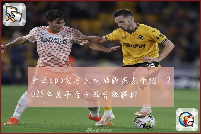 开云app官方入口功能亮点介绍，2025年度平台全面升级解析