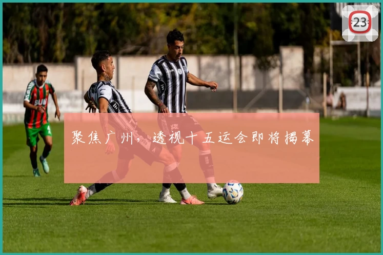 聚焦广州，透视十五运会即将揭幕