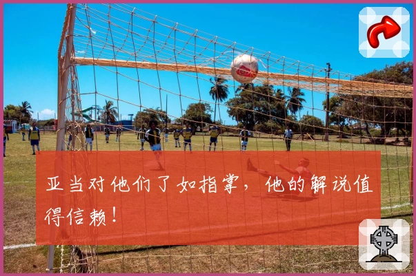 亚当对他们了如指掌，他的解说值得信赖！